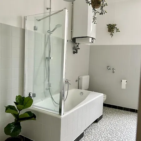 Labed - Auf Weingut Mit Privater Terrasse, Zentral Gelegen, Gratis Wlan Apartment Ruedesheim am Rhein