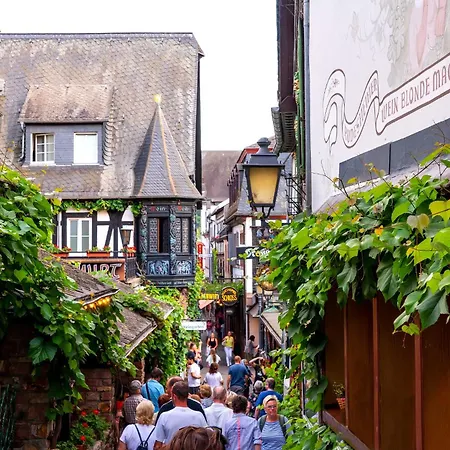 Apartament Labed - Auf Weingut Mit Privater Terrasse, Zentral Gelegen, Gratis Wlan Rüdesheim nad Renem