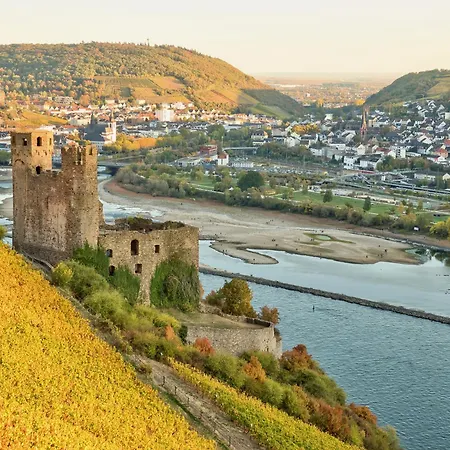 LaBed - Ferienwohnung auf Weingut mit privater Terrasse, zentral gelegen, gratis WLAN Apartment Rüdesheim am Rhein