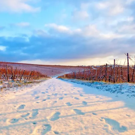 Apartment Wine | | Private Terrace Ruedesheim am Rhein