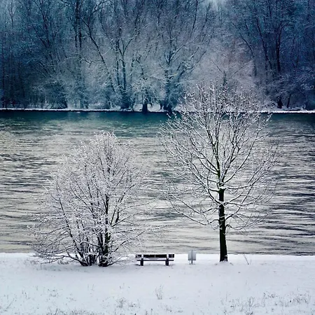Appartement Labed - Auf Weingut Mit Privater Terrasse, Zentral Gelegen, Gratis Wlan *