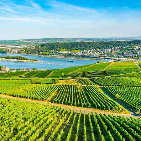 LaBed - Ferienwohnung auf Weingut mit privater Terrasse, zentral gelegen, gratis WLAN Rüdesheim am Rhein