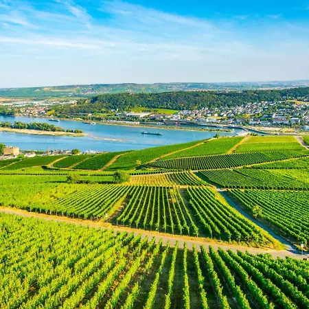 Apartment Wine | | Private Terrace Ruedesheim am Rhein