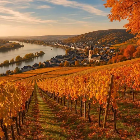 Wine | | Private Terrace *