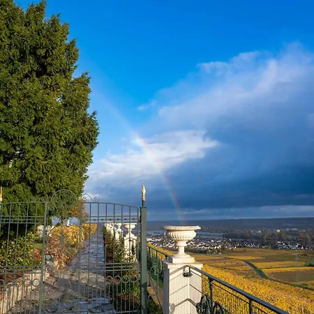 Wine | | Private Terrace *