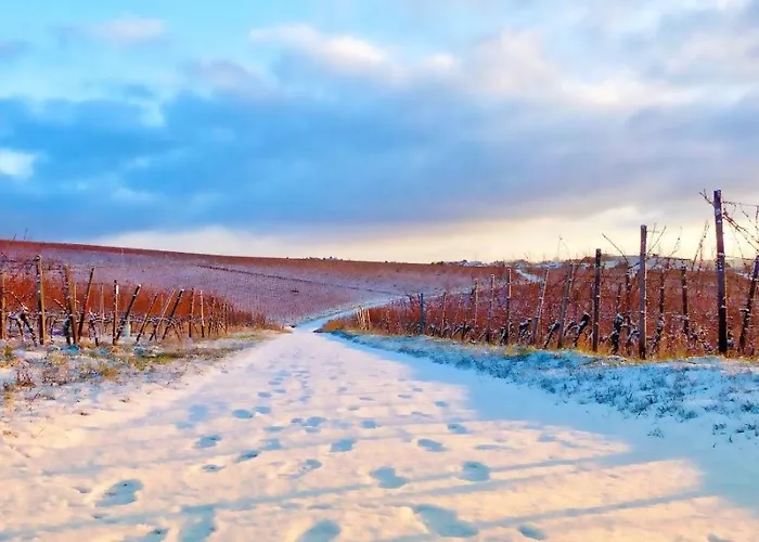 Appartement Labed - Auf Weingut Mit Privater Terrasse, Zentral Gelegen, Gratis Wlan Rüdesheim am Rhein